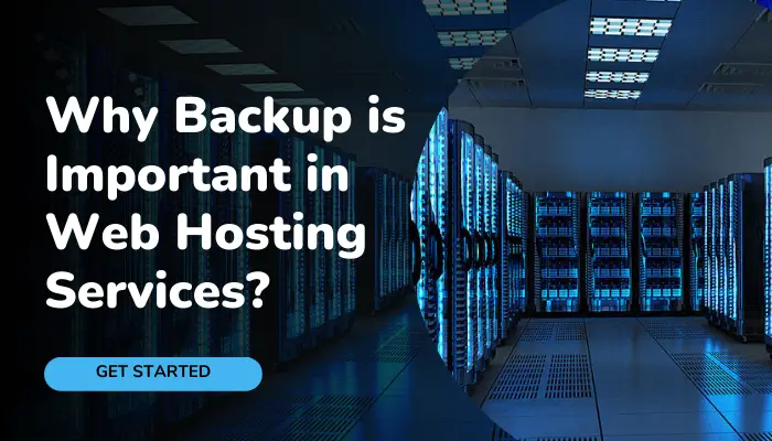 Why Backup is Important in Web Hosting Services?