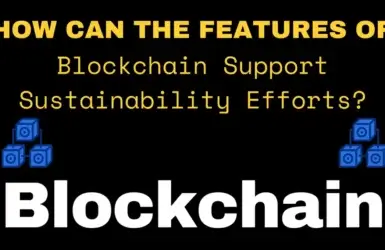 How Can Features Of Blockchain Support Sustainability Efforts?